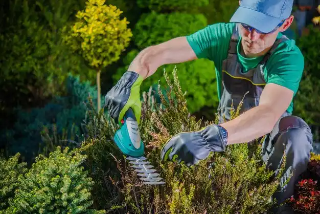 landscaping services Ovid